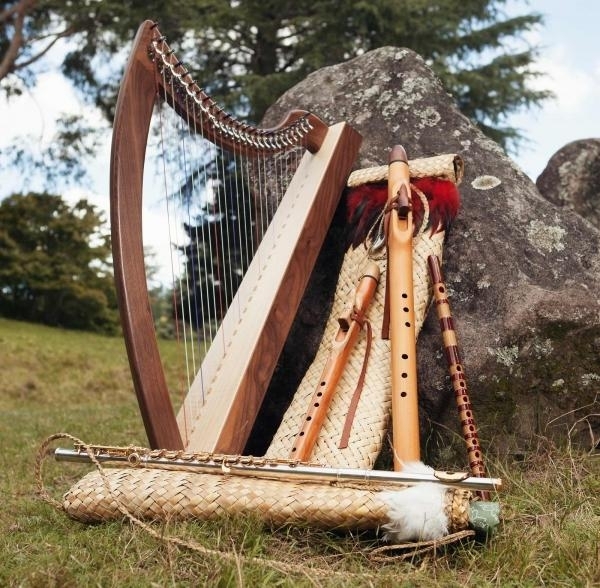 Harp Therapy course instruments