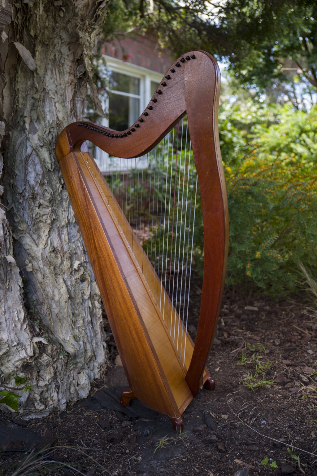 Therapy Harp Training Program Holistic Healthcare Music Training